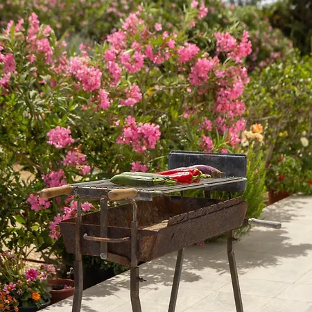 Sophia Latchi 别墅 *