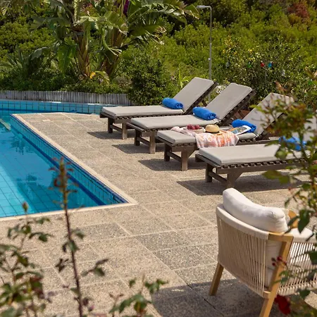 Sophia Latchi * Polis